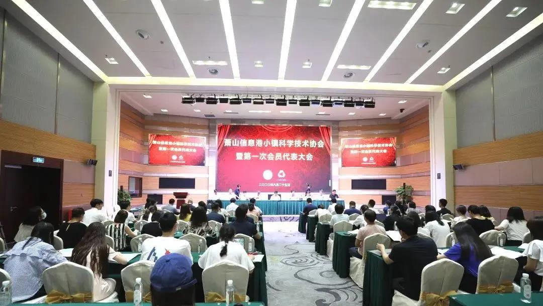 凝聚科技力量、打破西方壟斷：杭州灣信息港科學(xué)技術(shù)協(xié)會(huì)正式成立